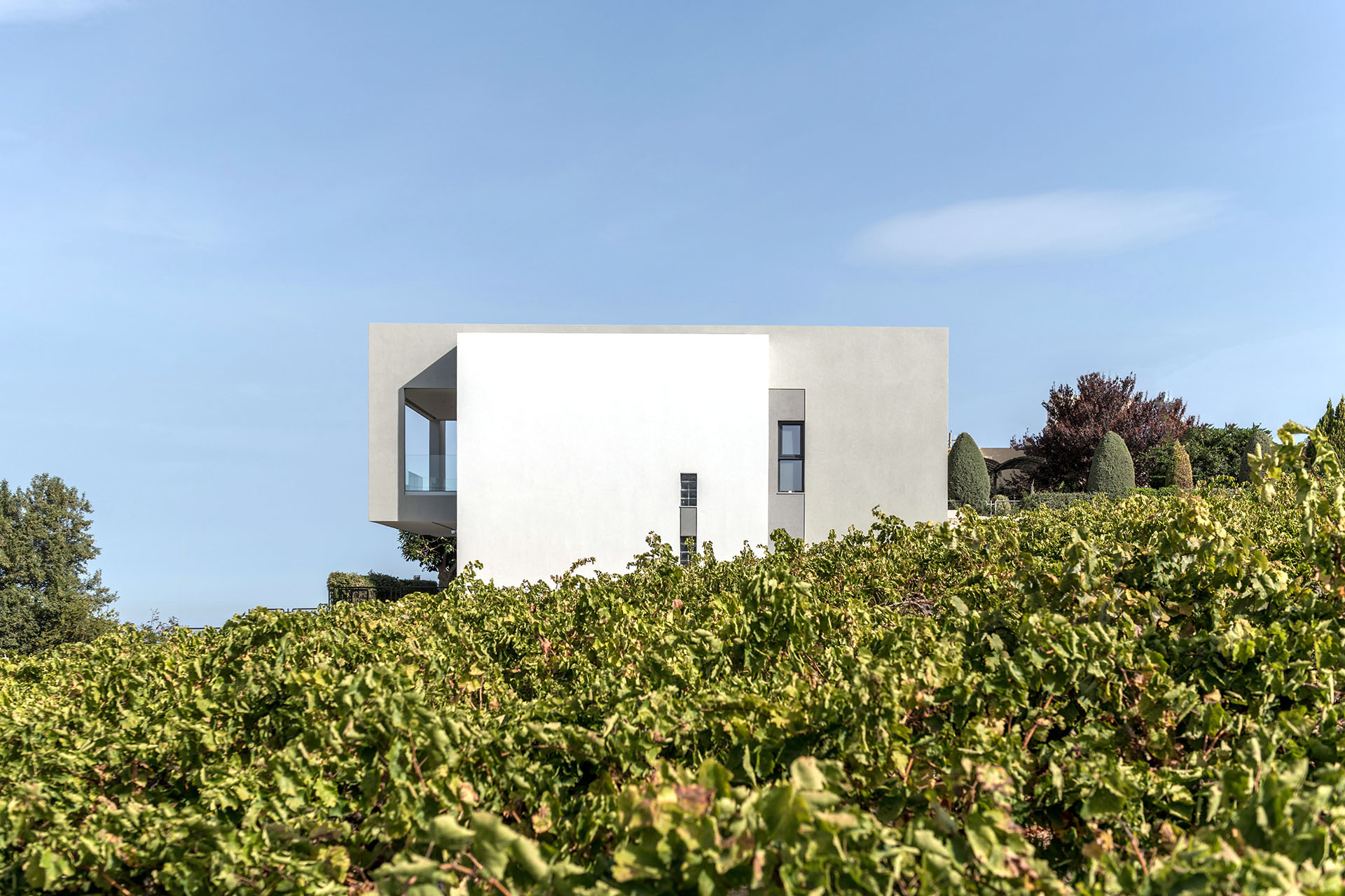 VINEYARD VILLA(2)