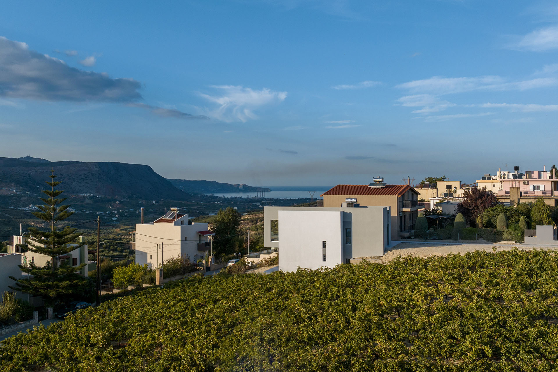 VINEYARD VILLA(3)